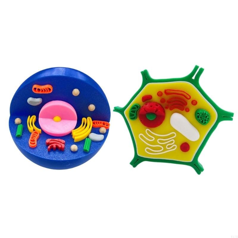 Professional Animal Plant Cell - огляд і ціна Medical Lab Study